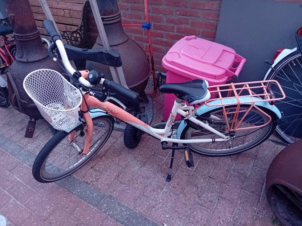 2 kinderfietsen, Fietsen en Brommers, Fietsen | Kinderfietsjes, Ophalen, Gebruikt, Alpina, Terugtraprem