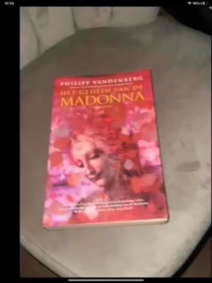 P. Vandenberg - Het geheim van de Madonna, Boeken, Thrillers, Gelezen, Europa overig, Verzenden