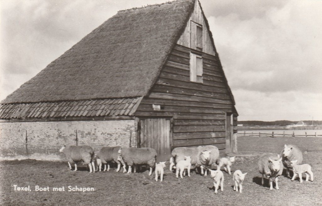 Texel   Boet, Ophalen of Verzenden, 1940 tot 1960, Gelopen, Waddeneilanden