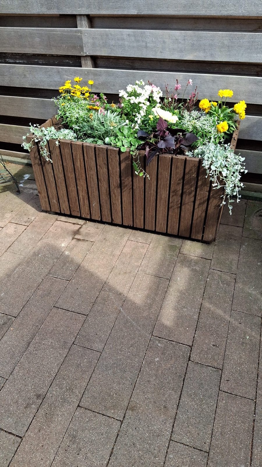 Op Maat Gemaakte Mosa Bamboe Plantenbakken, Minder dan 60 cm, Vierkant, Nieuw, Ophalen of Verzenden