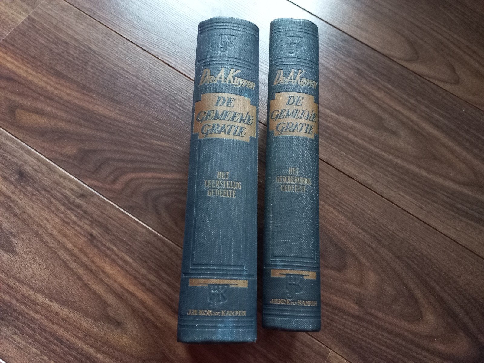 Abraham Kuyper, De gemeene gratie 2 delen, Boeken, Ophalen of Verzenden, Gelezen
