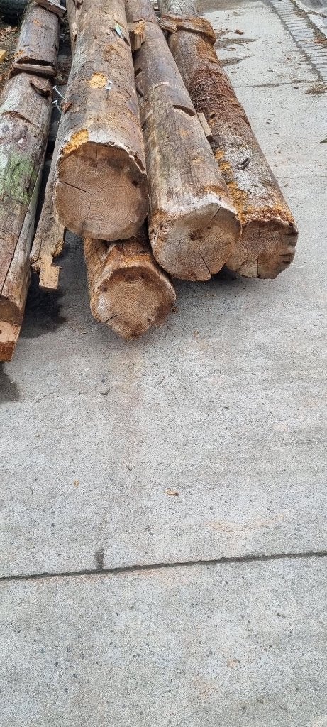 Oude balken en gebinten  palen uit oude boerderij loppersum, Doe-het-zelf en Verbouw, Hout en Planken, Ophalen, Gebruikt, Balk