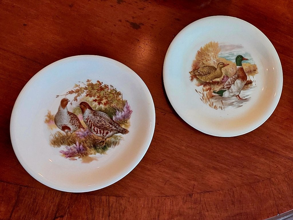 2 porseleinen bordjes gedetailleerde eend fazant wildvogels, Ophalen, Zo goed als nieuw, Bord(en), Overige stijlen