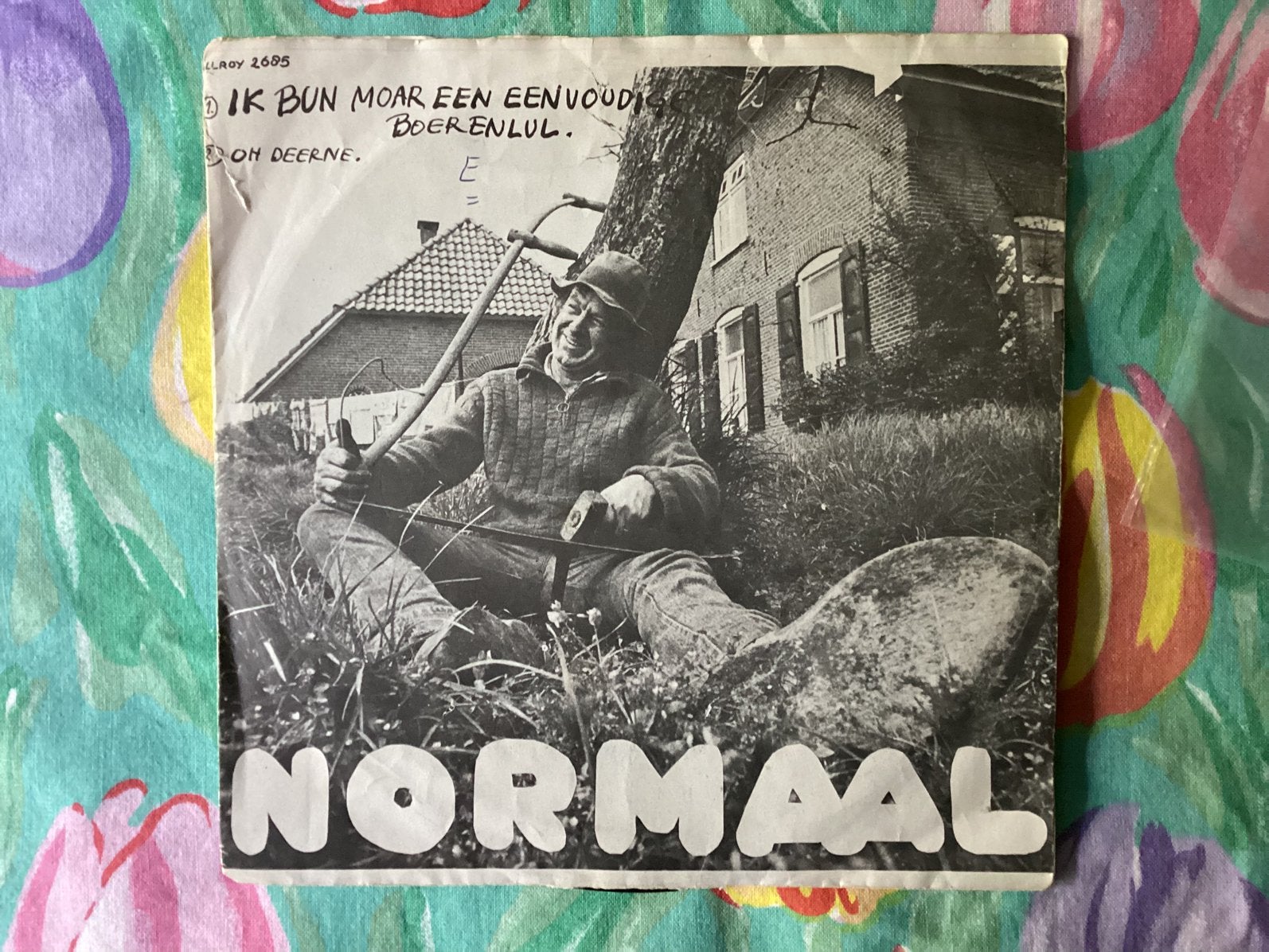 Normaal ik bun moar een eenvoudige boerenlul, Ophalen of Verzenden, Nederlandstalig