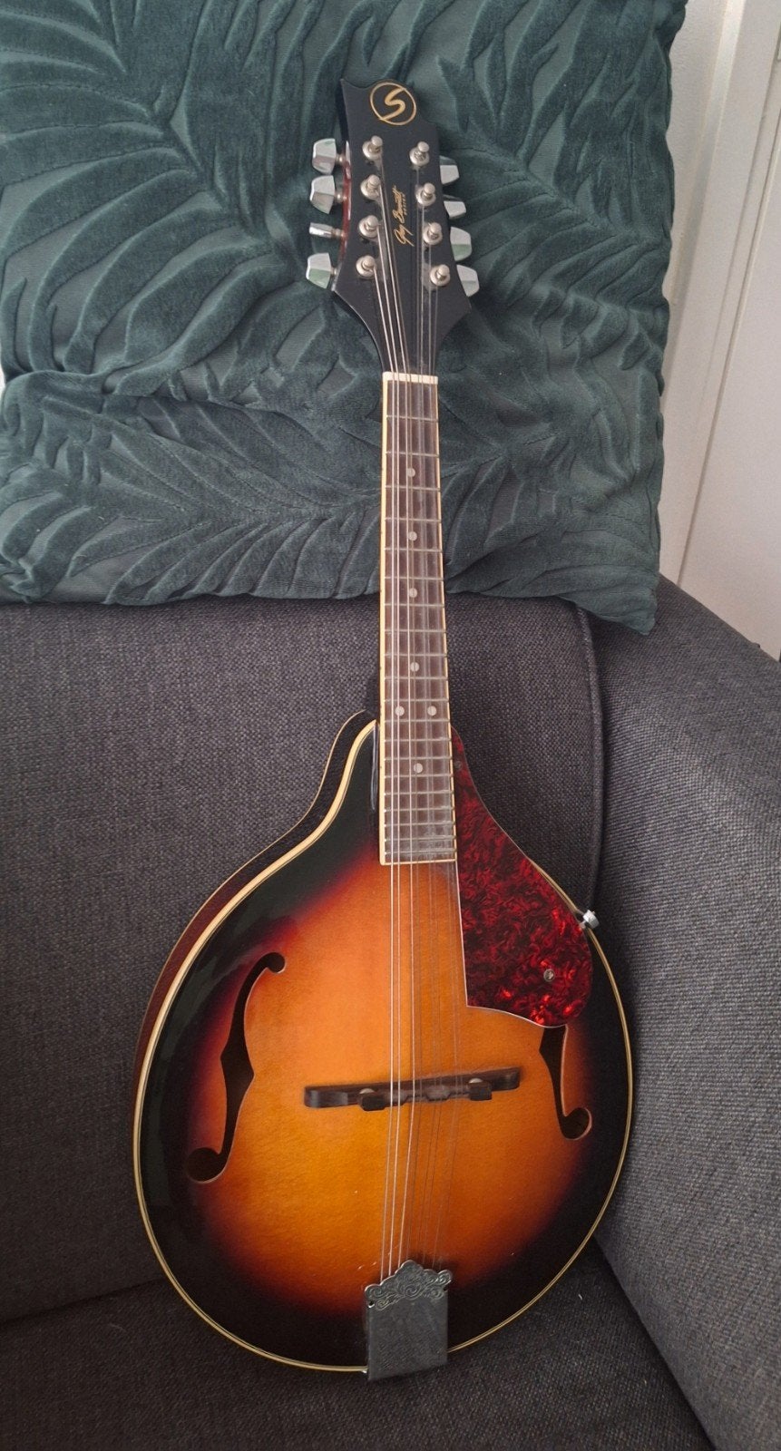 Greg Bennett Design Mandoline, Muziek en Instrumenten, Ophalen of Verzenden, Zo goed als nieuw