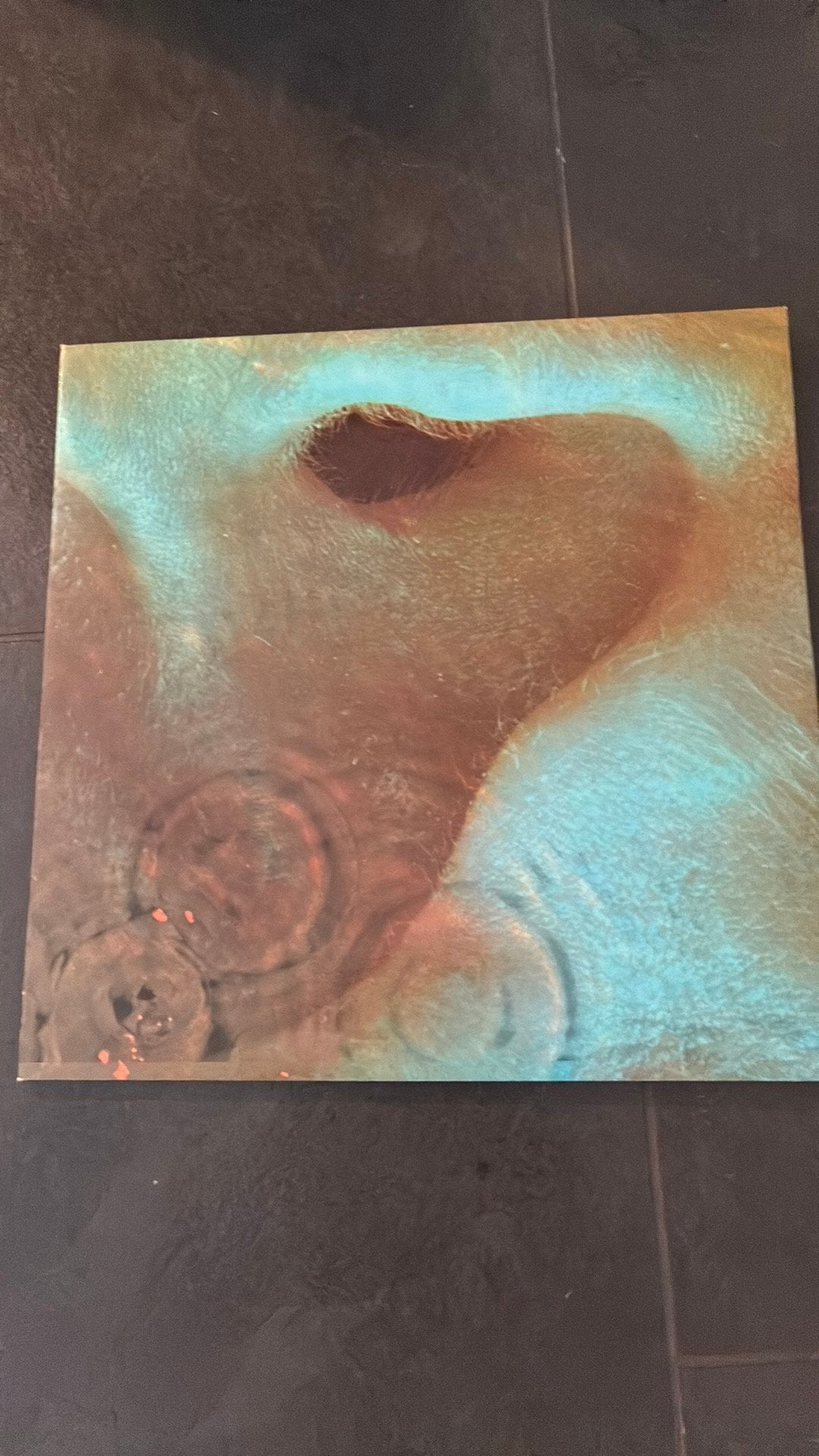 Pink Floyd ‎– Meddle (Holland Persing), LP, Gebruikt, Ophalen of Verzenden, Inclusief binnenhoes
