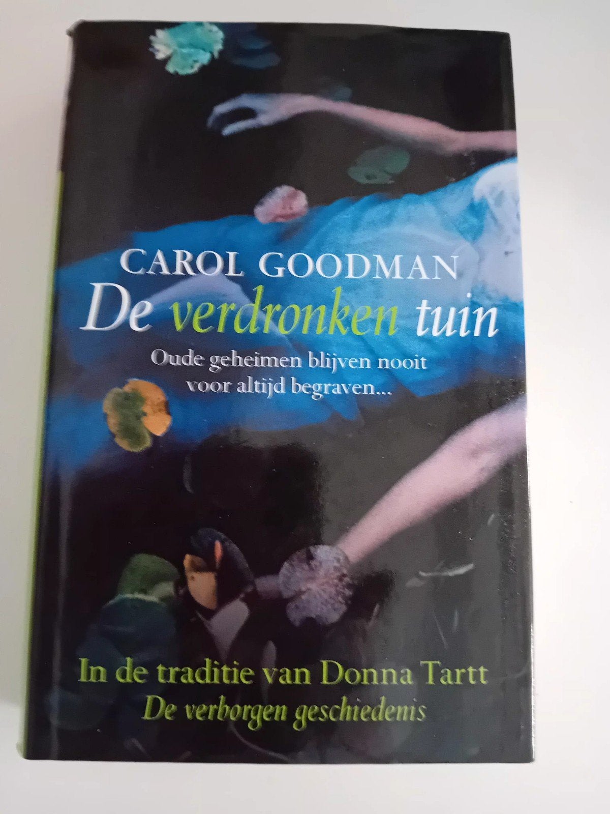 De verdronken tuin - Carol Goodman, Boeken, Ophalen of Verzenden, Zo goed als nieuw