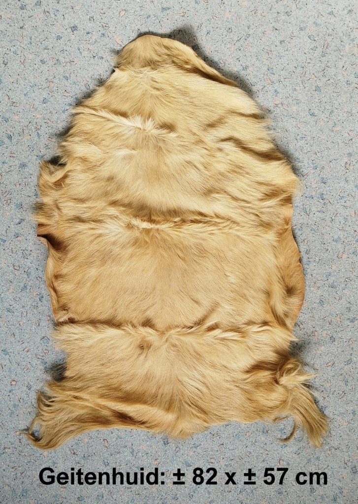 2 Vachten / huiden; Geit: 82 x 57 cm, vacht: 76 x 40/60 cm, 82 cm, Gebruikt, 57 cm, Ophalen of Verzenden