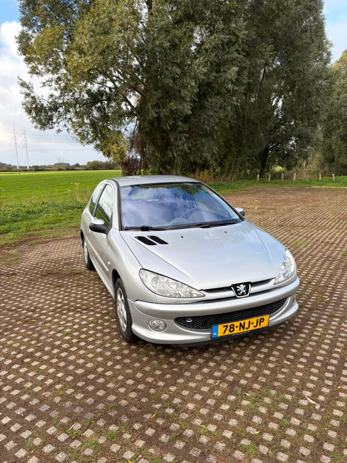 Peugeot 206 1.4 X-line 3D 2003 Grijs, Voorwielaandrijving, Stof, Zwart, 4 cilinders