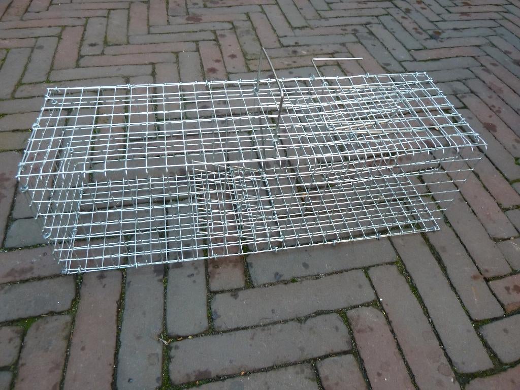 Rattenval / vangkooi voor ongedierte, Ophalen of Verzenden, Nieuw