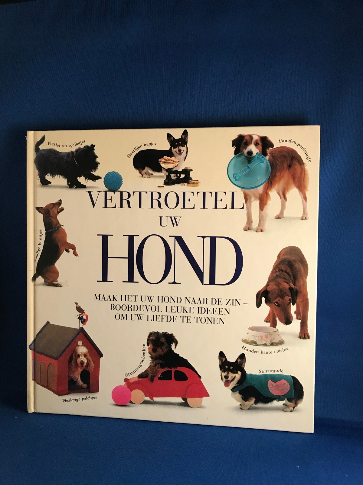 Vertroetel Uw Hond - Boordevol Leuke Ideeën, Ophalen, Zo goed als nieuw, Honden