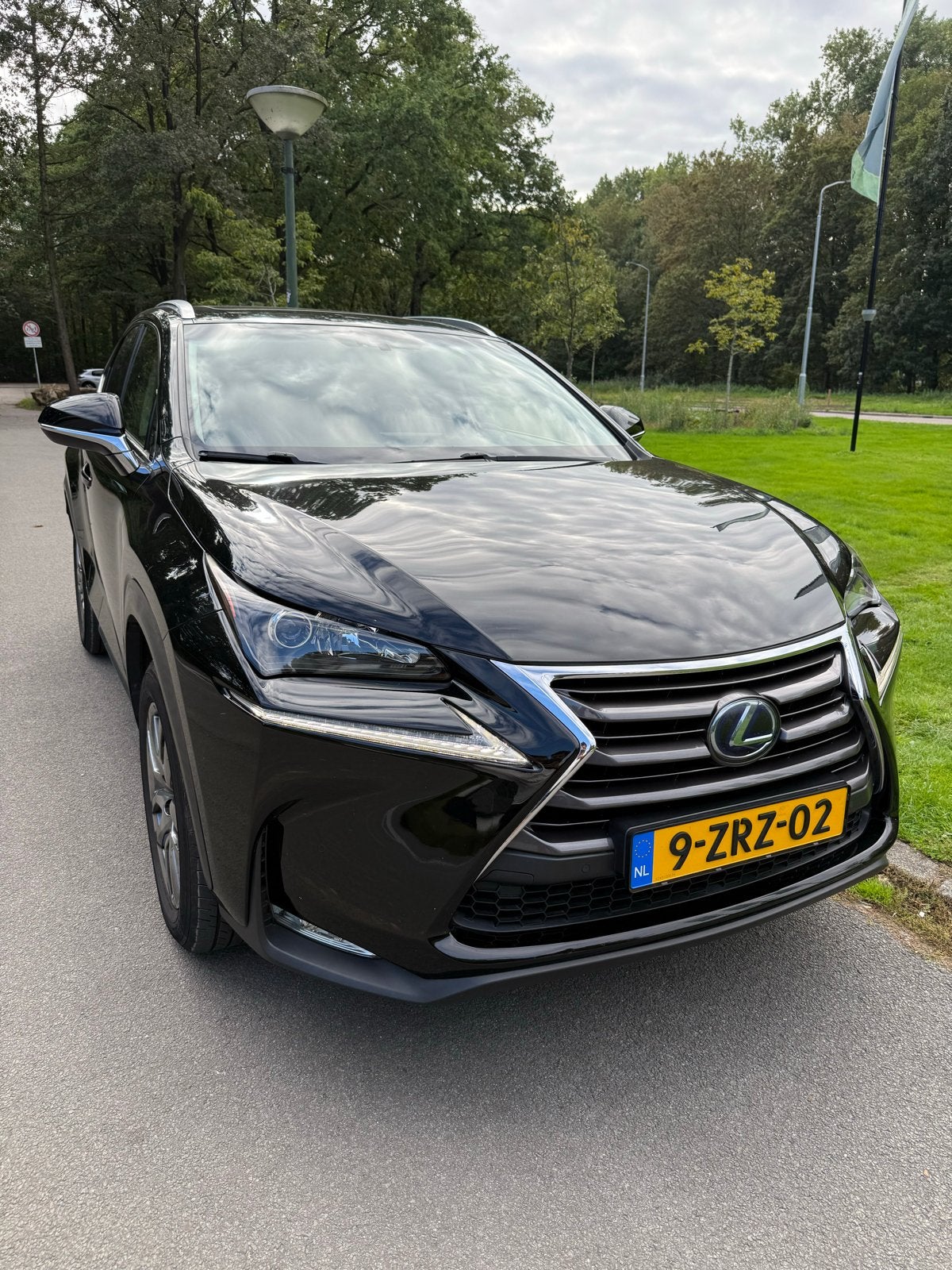 Lexus NX 300H 2.5 E-cvt AWD 2015 Zwart, Automaat, 2494 cc, Leder, Overige kleuren