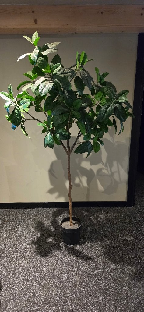 Kunstplanten kunstboom olijfboom magnolia ficus  palm, Ophalen of Verzenden, Zo goed als nieuw