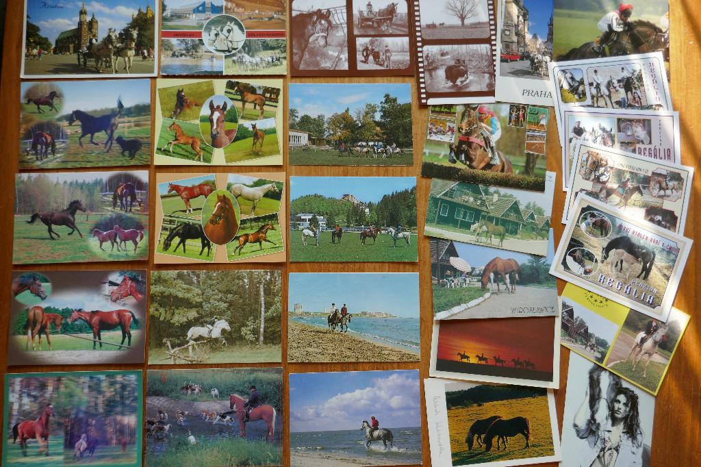 Mix van 29 ansichten Paard Pony Strandrit Rijtuig Springen, Ophalen of Verzenden, 1980 tot heden, Paard