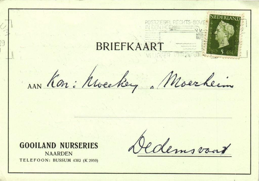 Gooiland Nurseries, Naarden - 11.1949 - briefkaart, Ophalen of Verzenden, Briefkaart