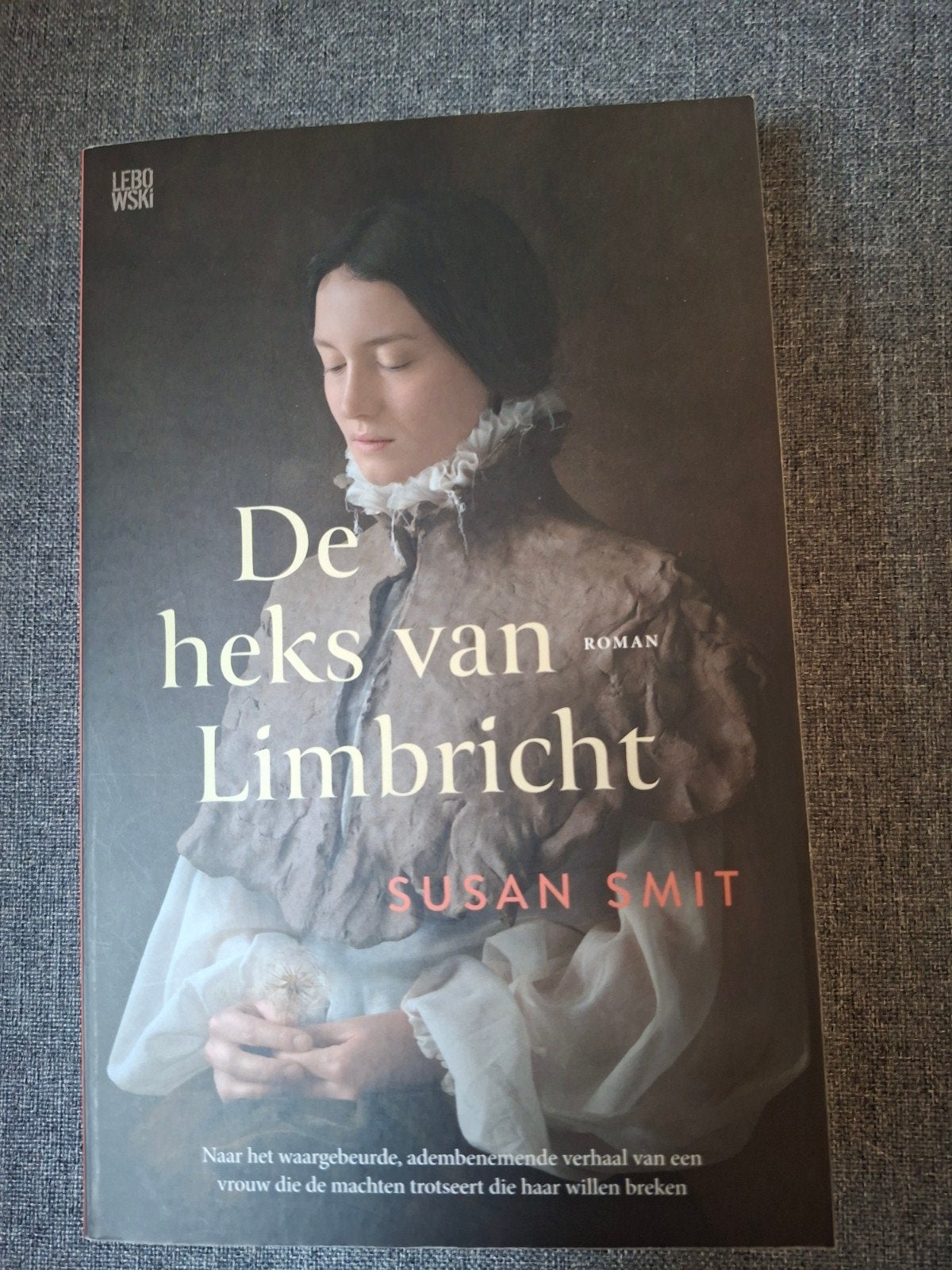 De heks van Limbricht - Susan Smit (Roman), Boeken, Ophalen of Verzenden, Gelezen, Susan Smit, Nederland