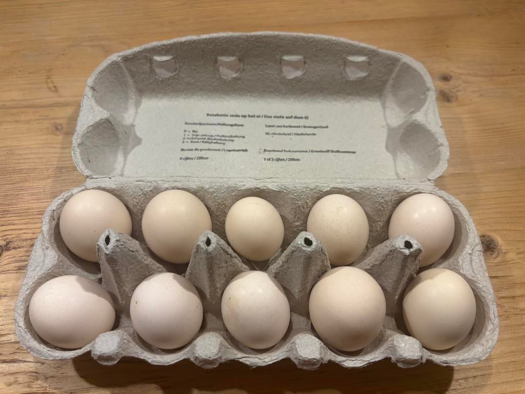 Broedeieren van prachtige Zijdehoen kippen – €1 per stuk, Geslacht onbekend, Kip