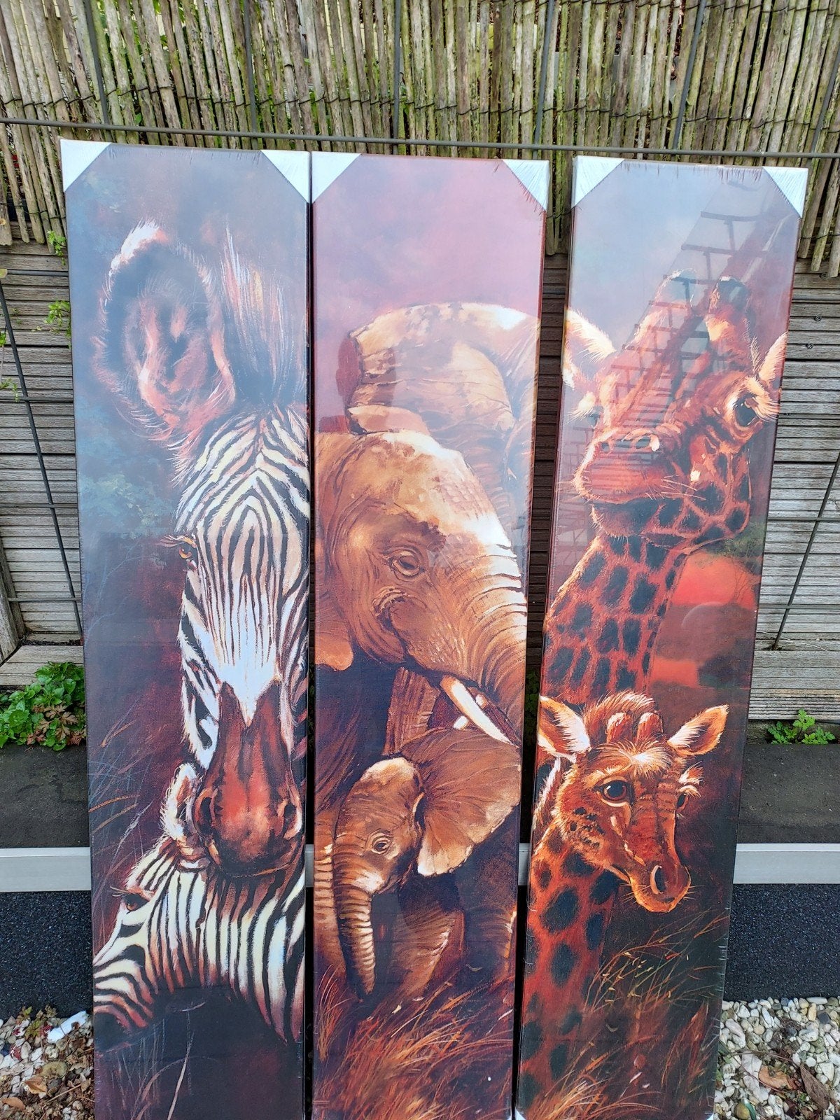 3 Canvas schilderijen. Zebra's, giraffen en olifanten., Ophalen, Nieuw, Minder dan 50 cm, Schilderij