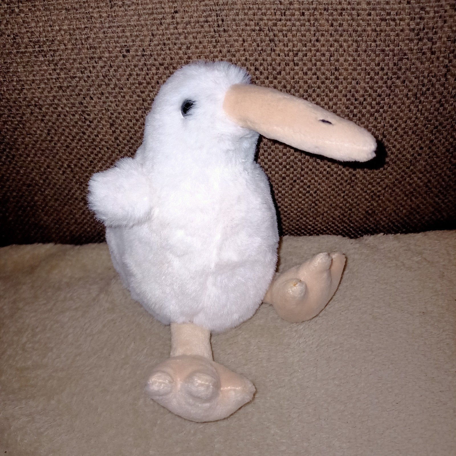 Take me home, kiwi vogel., Overige merken, Overige typen, Ophalen of Verzenden, Zo goed als nieuw
