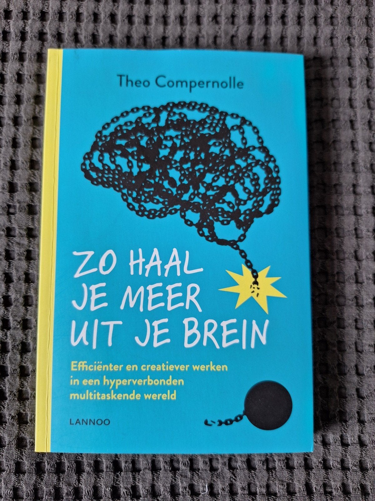 Zo haal je meer uit je brein - Theo Compernolle (Nieuw), Boeken, Ophalen of Verzenden, Nieuw, Theo Compernolle