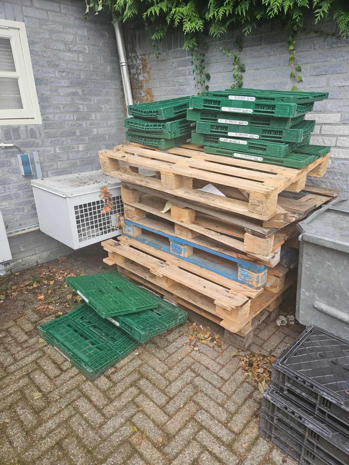 gratis euro pallet, Minder dan 3 m³, Ophalen of Verzenden