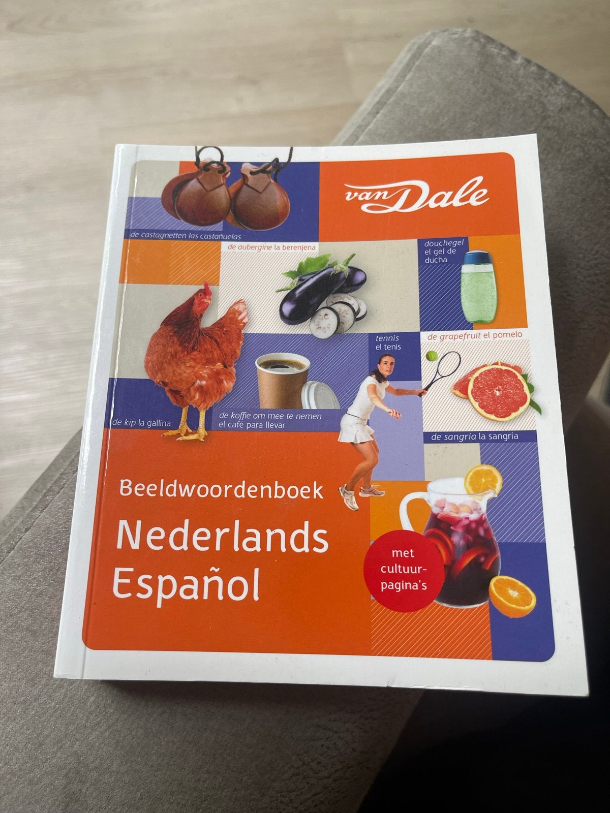 Van Dale Beeldwoordenboek Nederlands-Español, Ophalen of Verzenden, Zo goed als nieuw, Van Dale, Nederlands