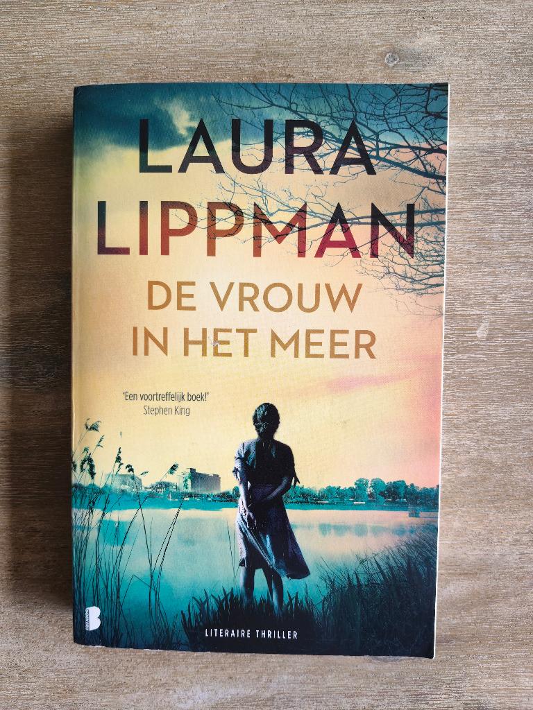 4833 de vrouw in het meer - laura lippman, Boeken, Verzenden, Zo goed als nieuw