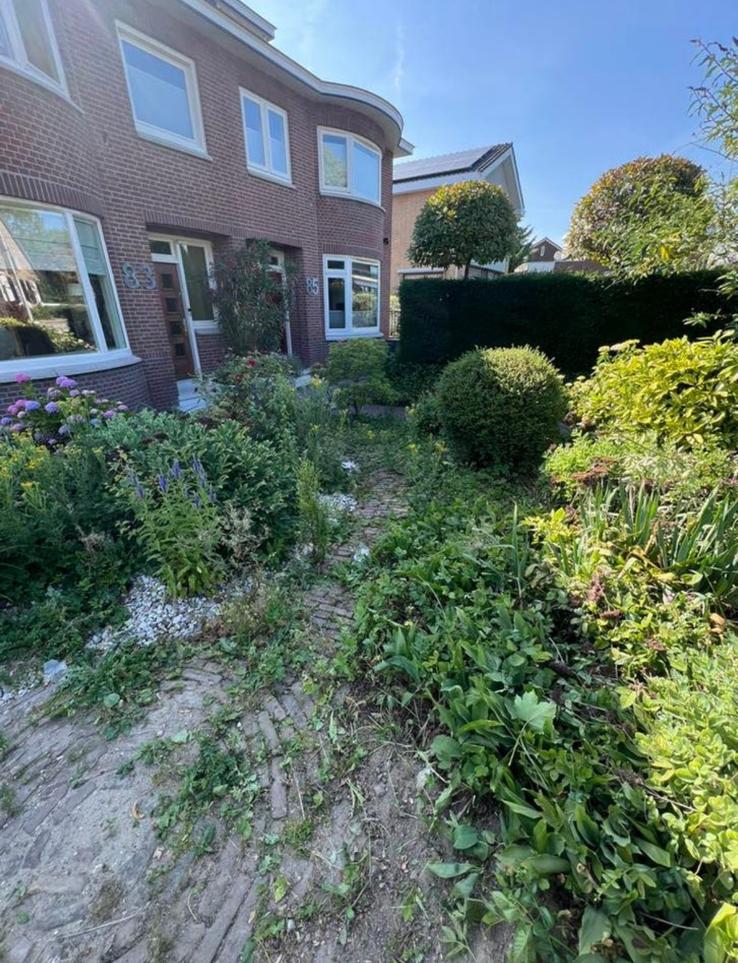 Tuinonderhoud & Tegelreiniging Tuinman Hovenier, Tuin en Terras, Gras en Kunstgras, Ophalen of Verzenden, 20 m² of meer