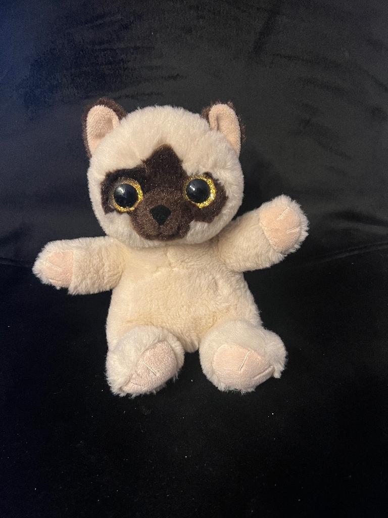 Paws by Dino pluche bruine kat knuffel: 19 cm groot, Ophalen of Verzenden, Zo goed als nieuw