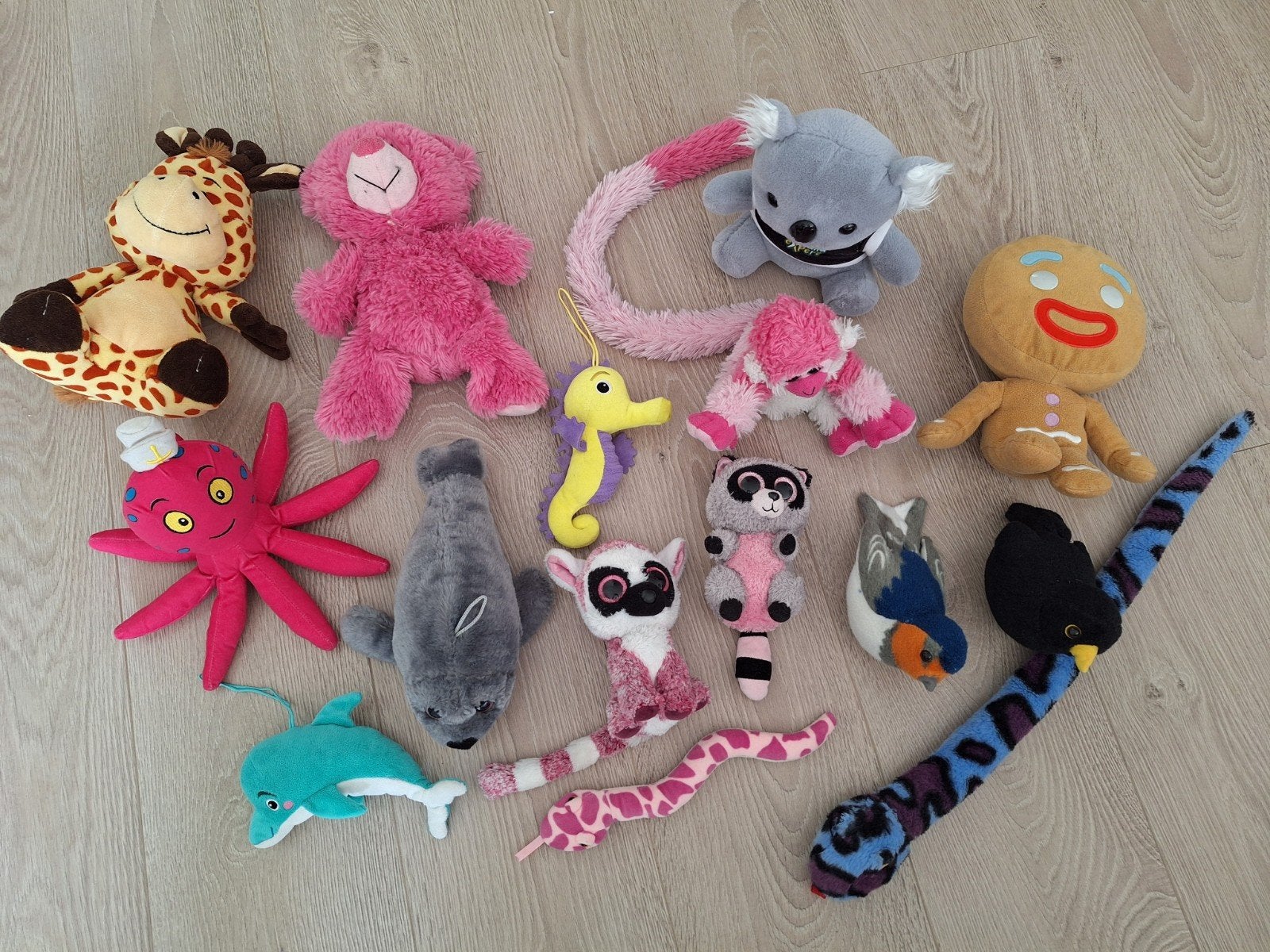 Knuffels, Gebruikt, Overige typen, Ophalen of Verzenden, Middelgroot (20 tot 80 cm)