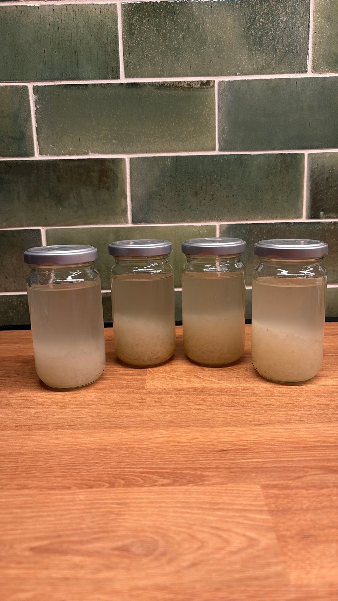 Waterkefir korrels, Ophalen