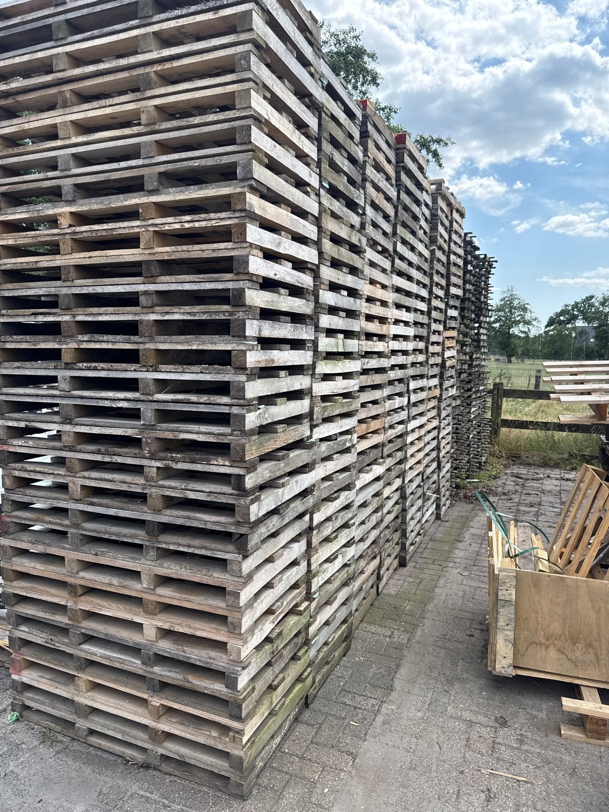 Grote partij gebruikte houten pallets, Ophalen, Gebruikt, Hout, 20 tot 50 mm