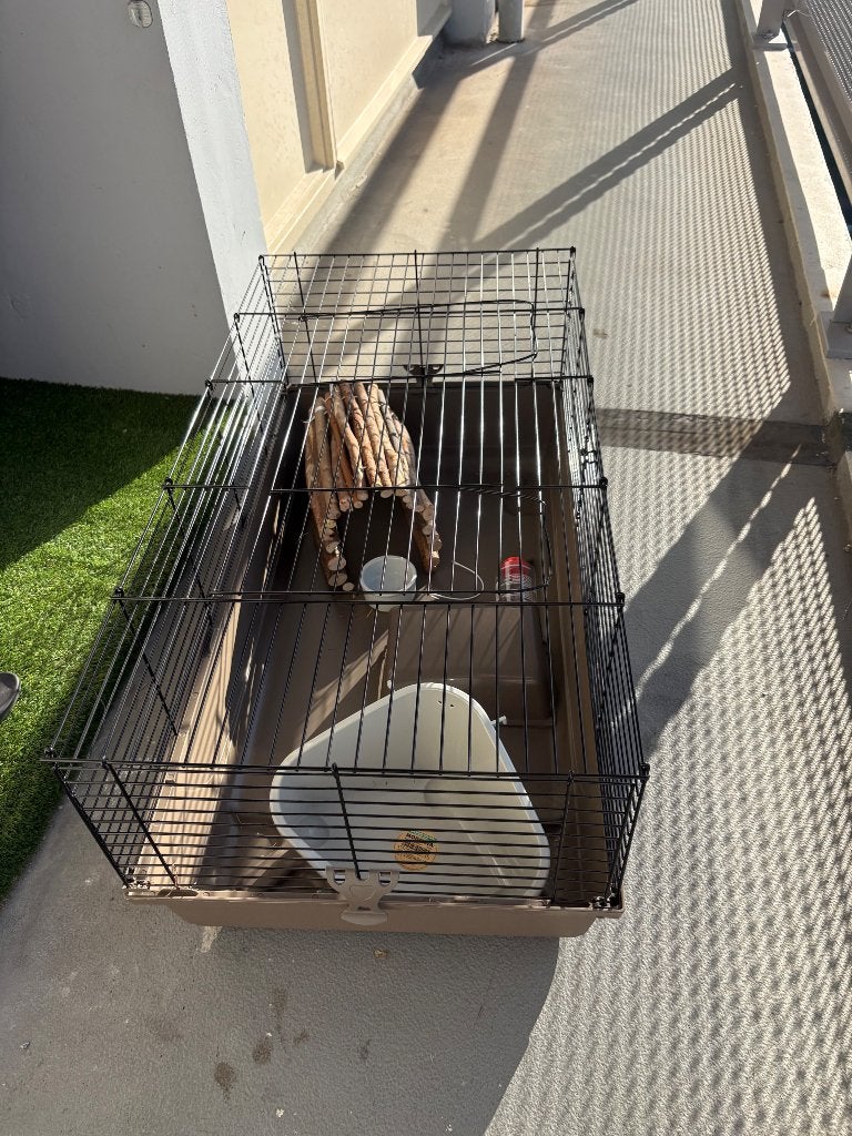 Konijnen hok, Dieren en Toebehoren, Ophalen, 110 cm of meer, 60 tot 90 cm, Cavia