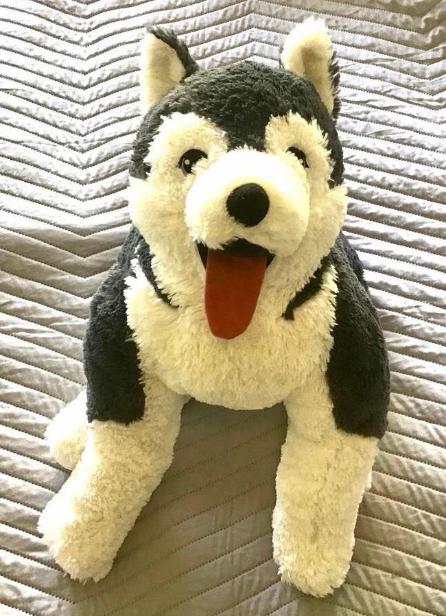 Verzwarings knuffel Husky, ruim 3 kilo, Ophalen of Verzenden, Zo goed als nieuw, Overige typen