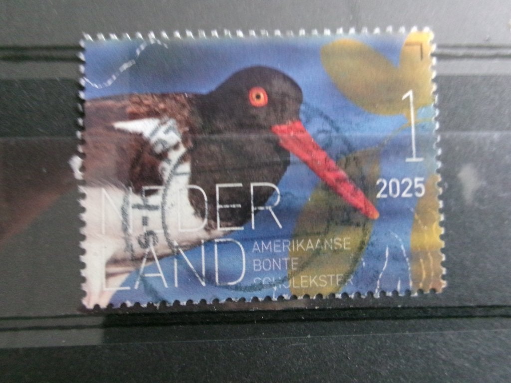 2025 - beleef de natuur bonte scholekster (375g), Verzenden, Gestempeld