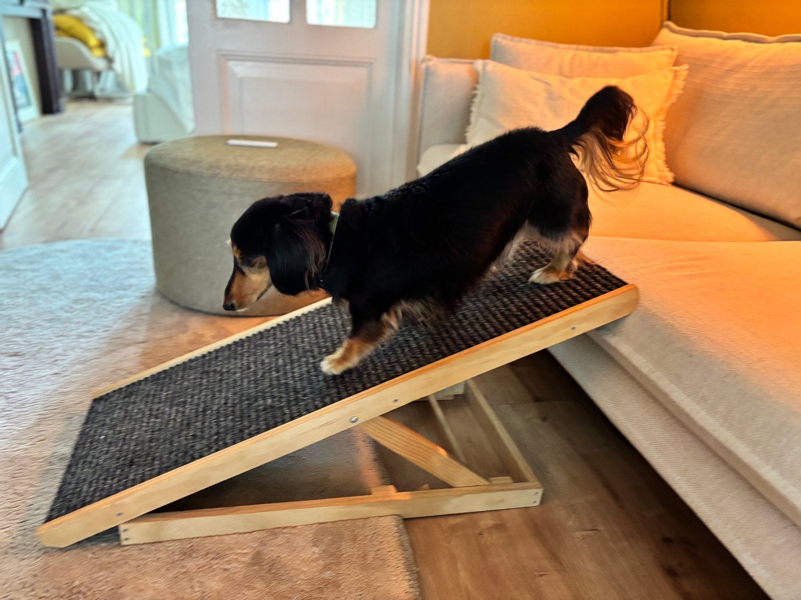 Adjustable dog ramp for small dogs, Ophalen