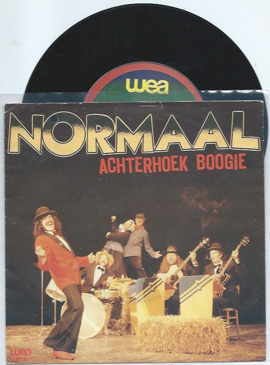 Normaal- Achterhoek Boogie, Cd's en Dvd's, Fotohoes, Verzenden, Zo goed als nieuw, Nederlandstalig