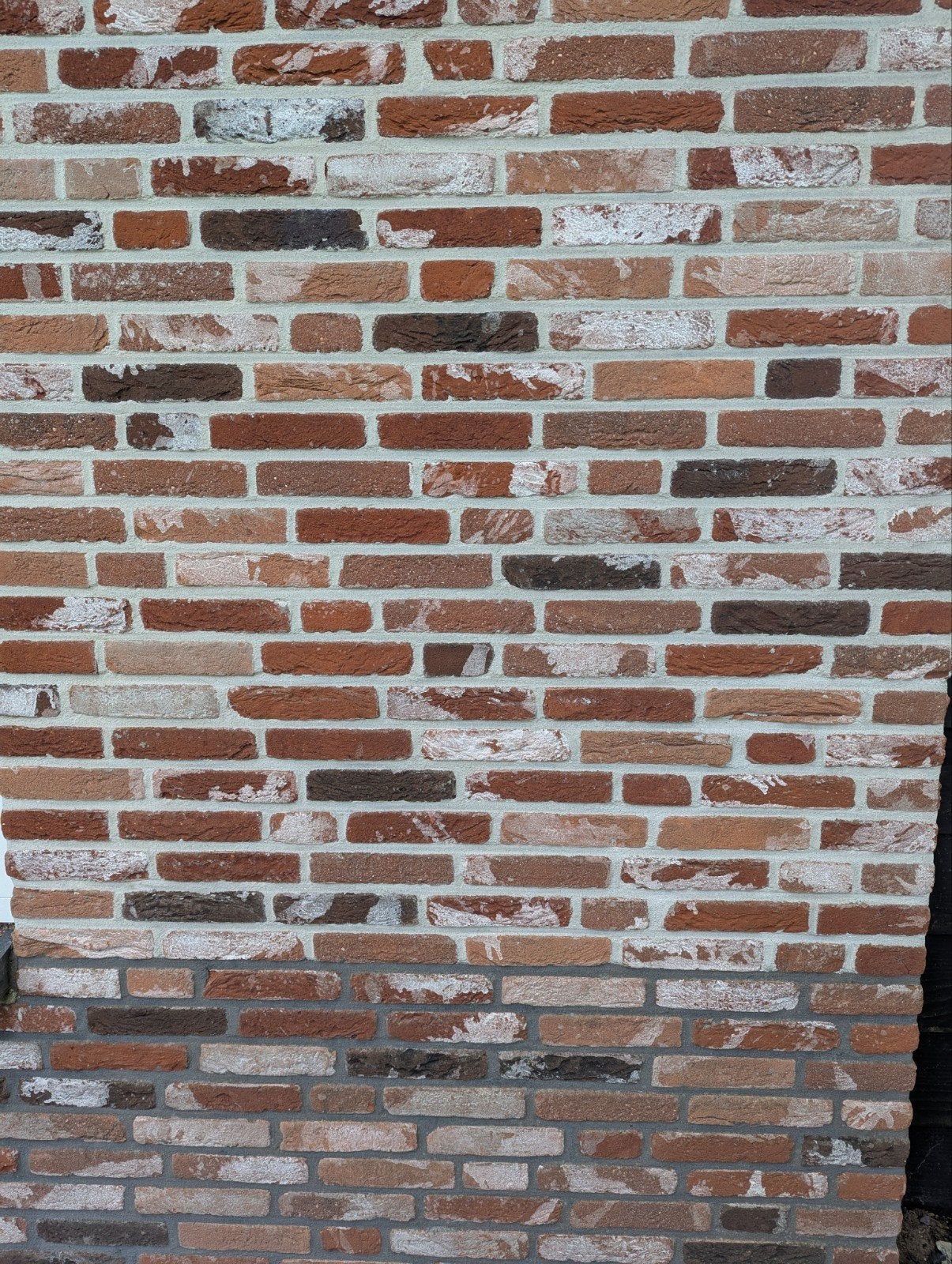 Metselsteen Geba 735 rood bont getrommeld 579 stuks, Ophalen, Nieuw