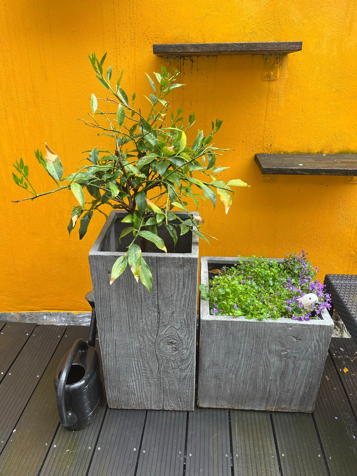 Set van 2 vierkante plantenbakken van aardewerk met houtnerf, Gebruikt, Balkon, Vierkant, Beton