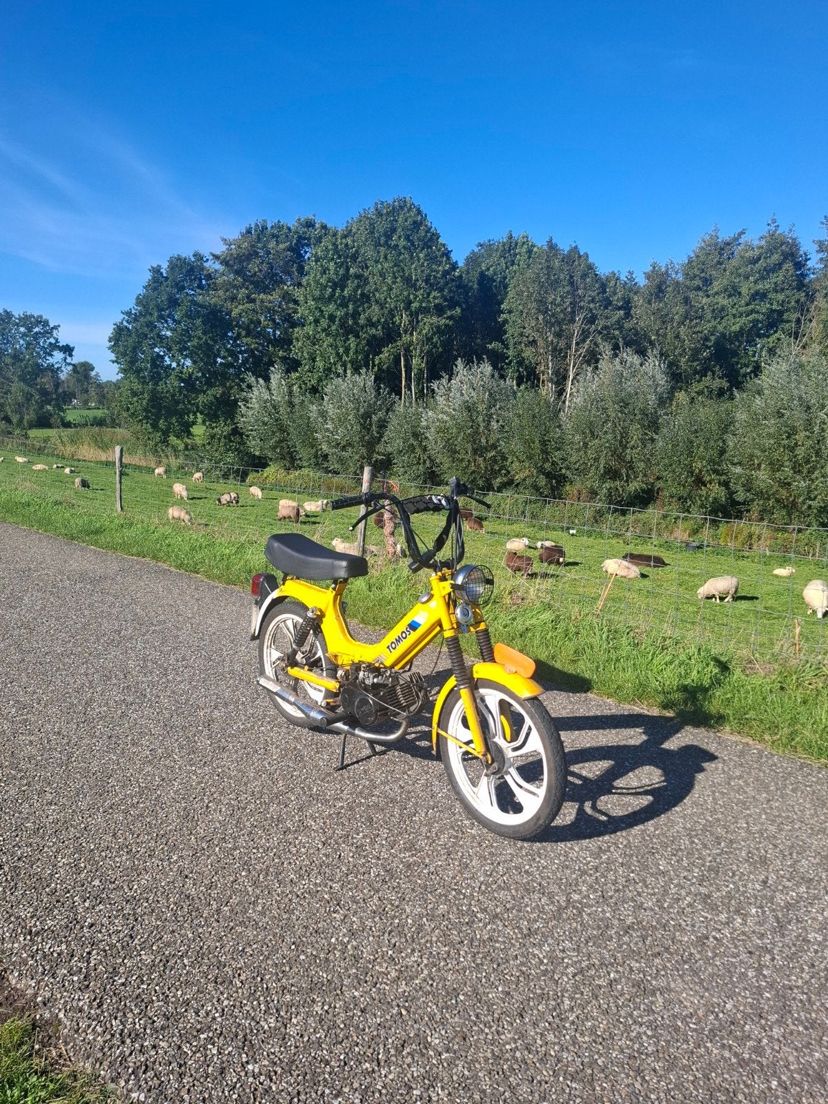 Tomos s25 WAARDEPEILING, Ophalen of Verzenden, Standard