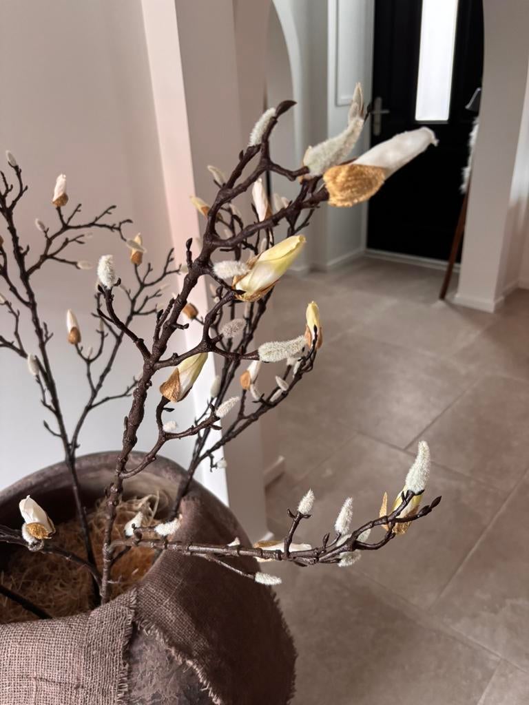 Magnolia, Ophalen, Zo goed als nieuw