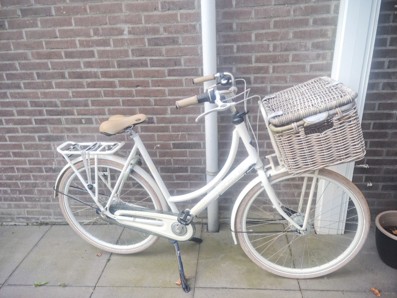 Batavus Divo Damesfiets, Ophalen, Terugtraprem, Batavus, 53 tot 56 cm