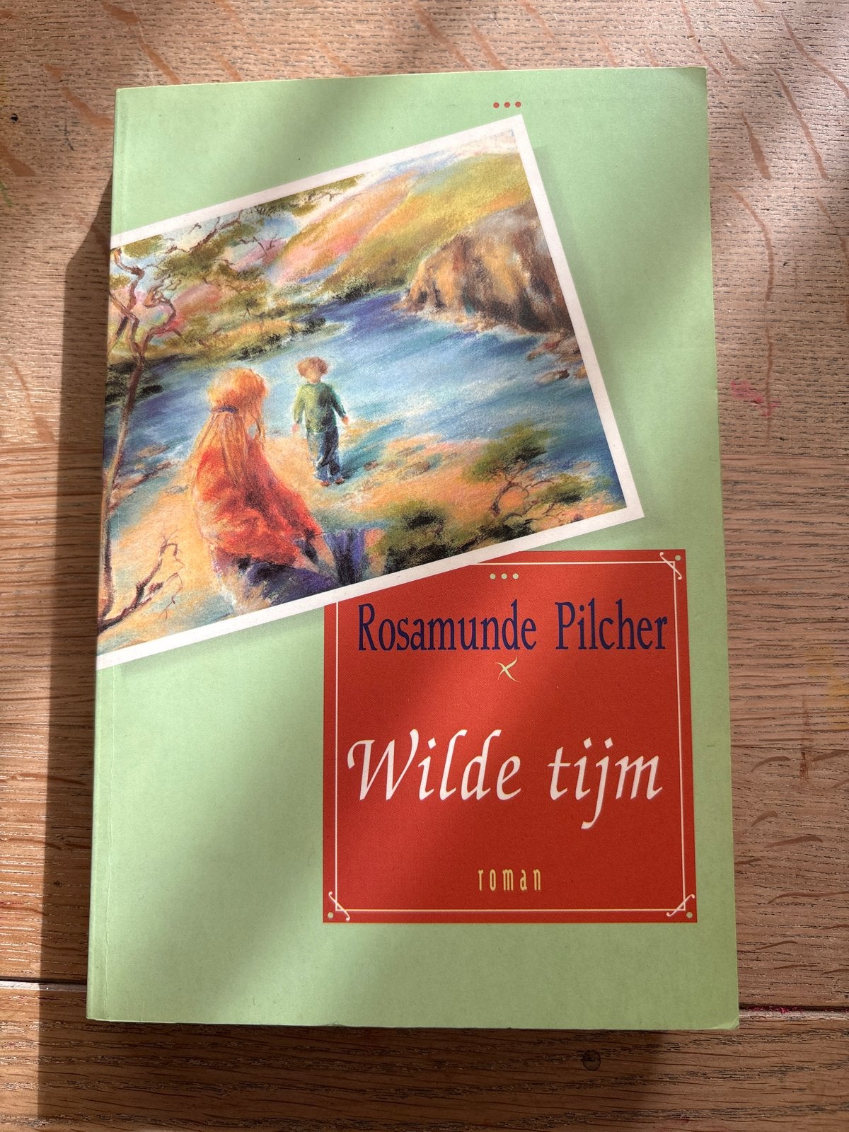Rosamunde Pilcher - Wilde Tijd (Roman), Boeken, Ophalen of Verzenden, Gelezen, Europa overig