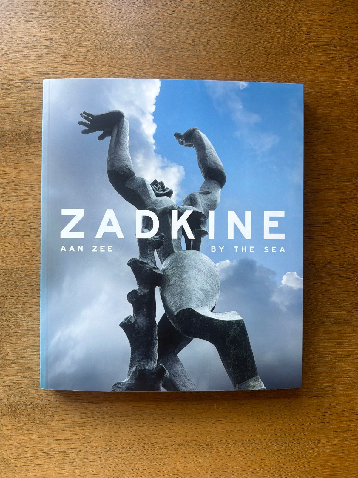 Zadkine aan zee, Ophalen of Verzenden, Zo goed als nieuw