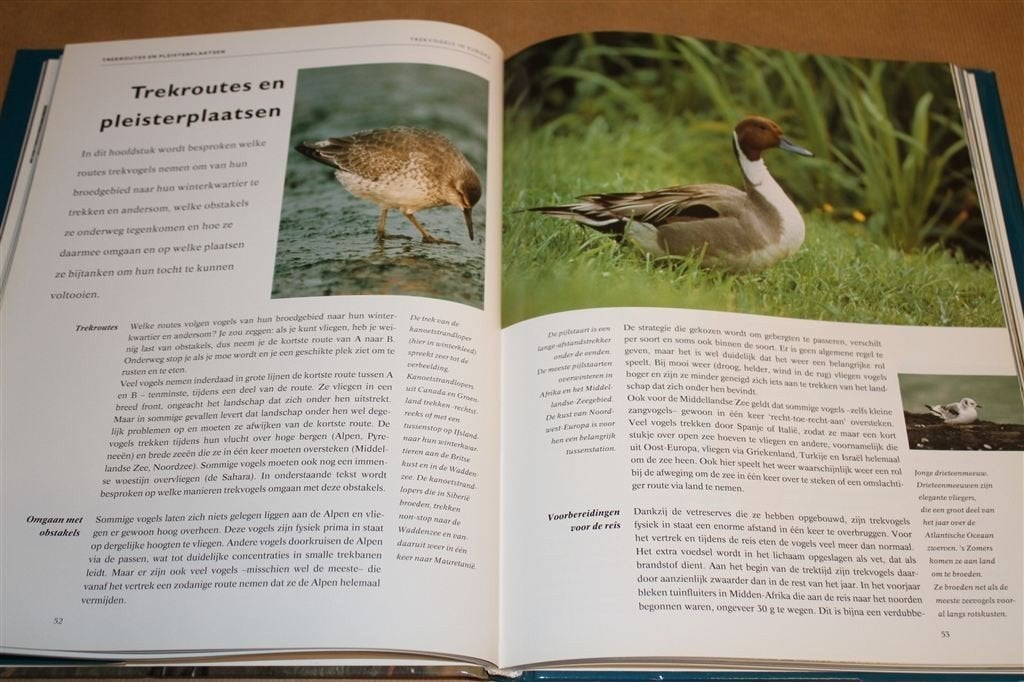 Trekvogels in Europa. Routes en trekgedrag., Boeken, Ophalen of Verzenden, Gelezen, Vogels