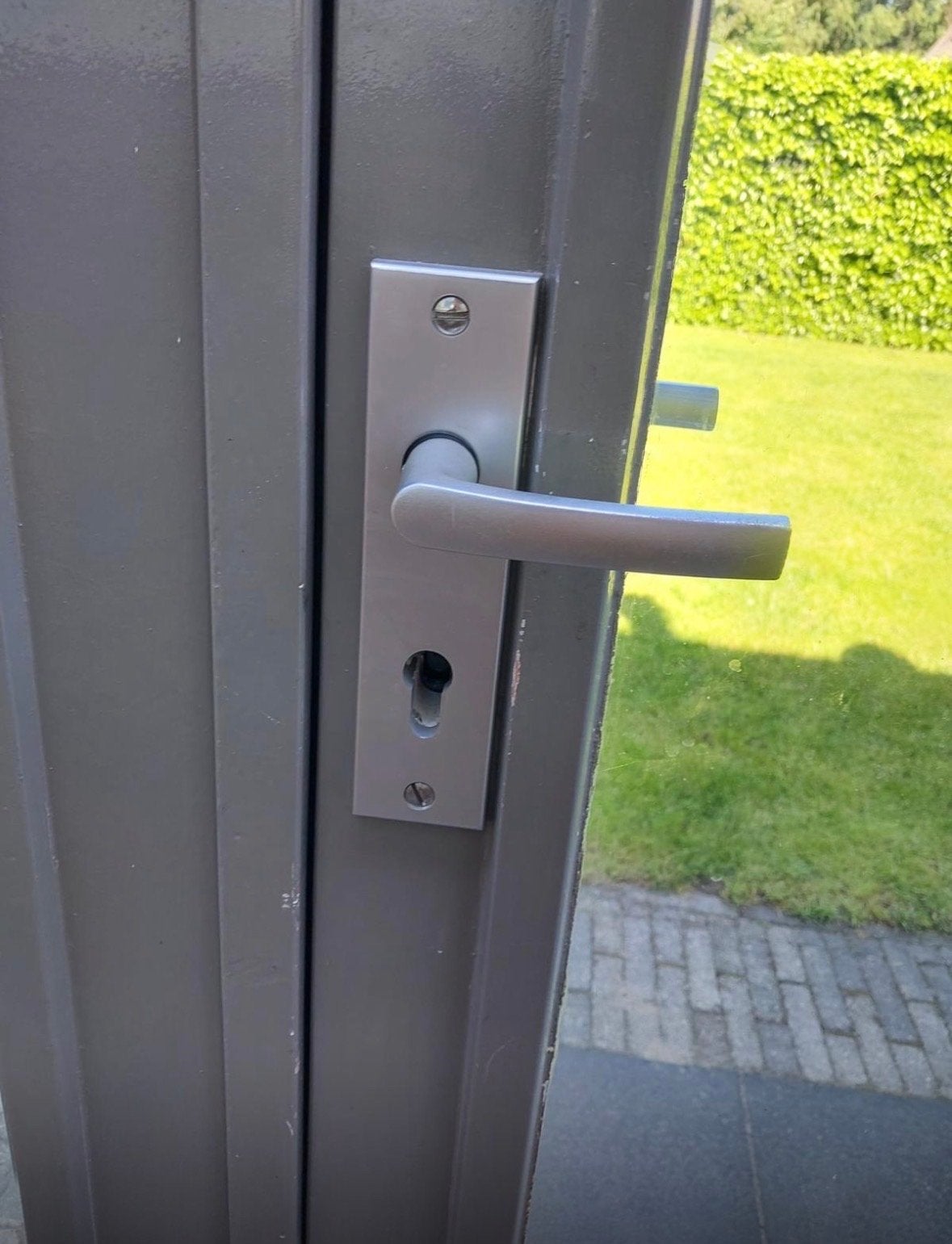 Extra hoge dubbele deur met HR++ glas (2.93m), Ophalen, Gebruikt, 120 cm of meer, 215 cm of meer