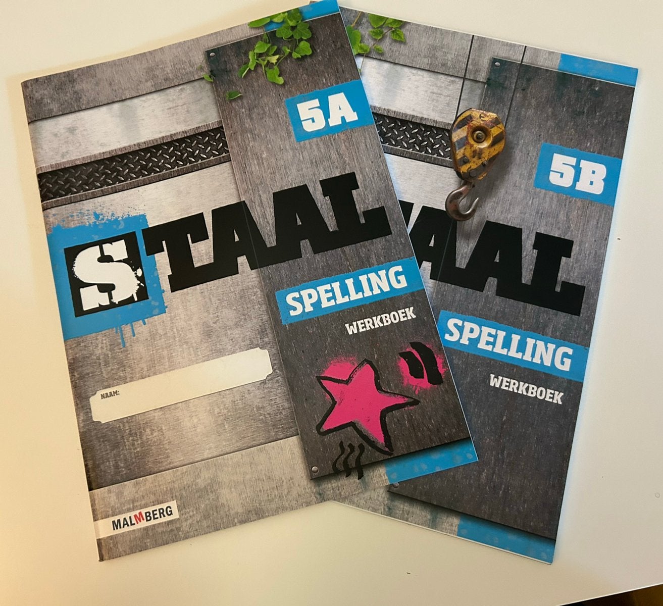 Groep 5 werkschriften spelling set, Boeken, Ophalen, Nieuw, Schraven, Nederlands