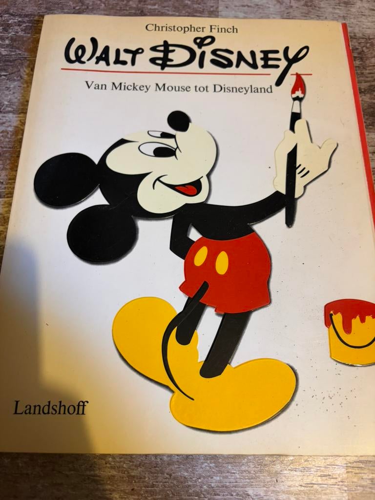 Disney boek, Boeken, Eén stripboek, Ophalen of Verzenden, Zo goed als nieuw