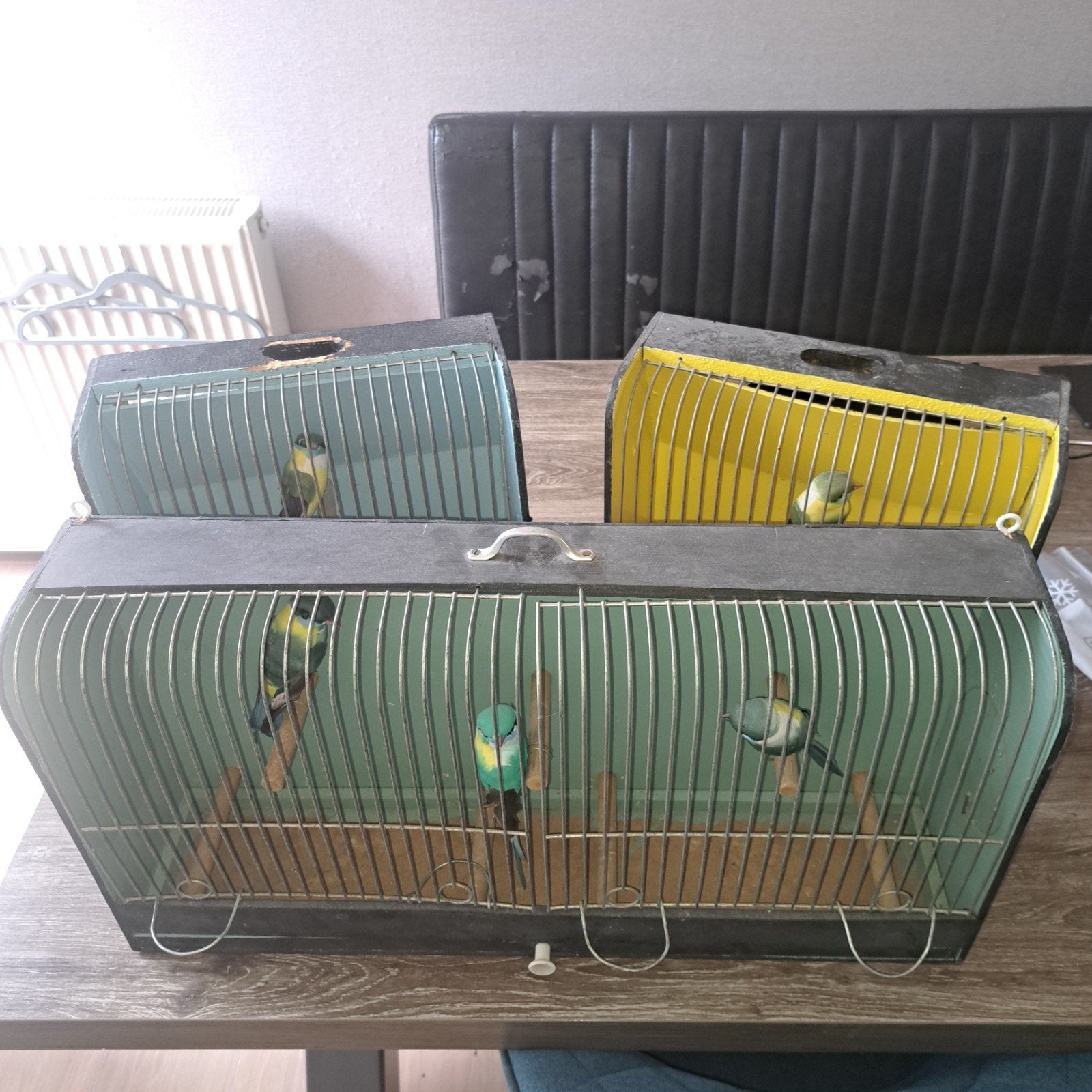 Decoratie vogelkooi met kunstvogels, Ophalen