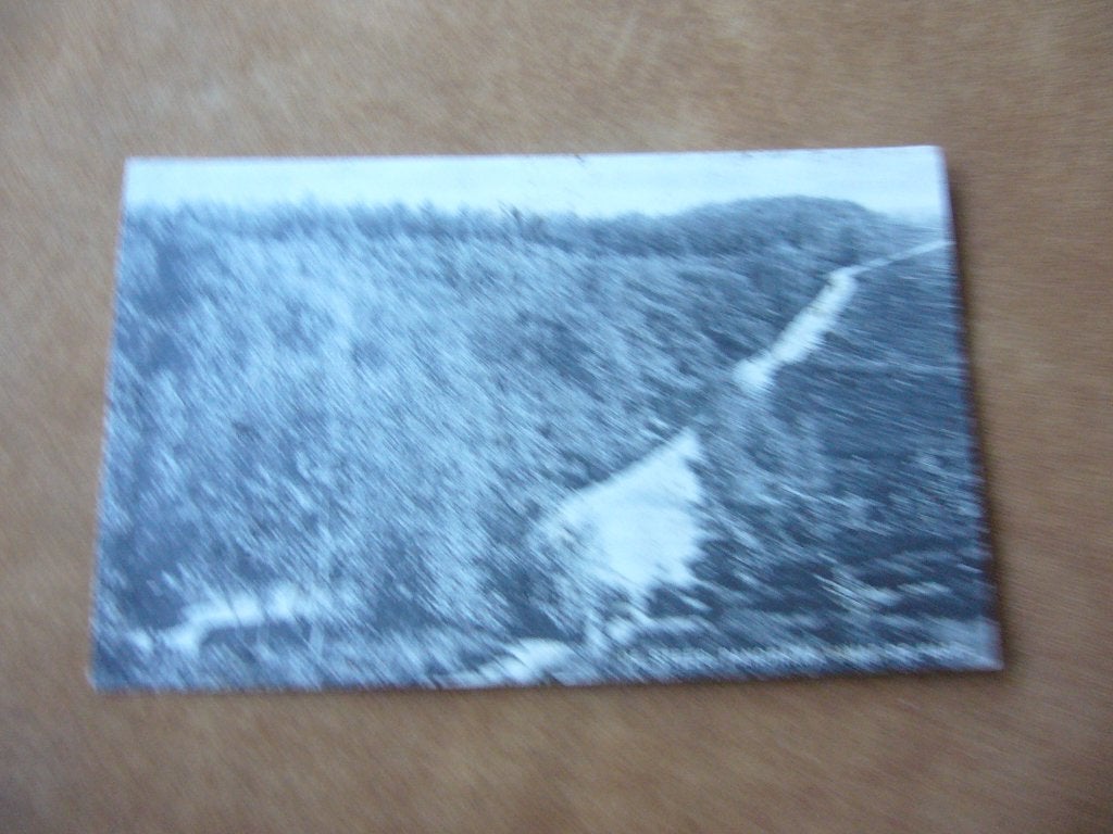 DE STEEG  =  PANORAMA VANAF DE KAAP, Ophalen of Verzenden, 1920 tot 1940, Gelopen, Gelderland